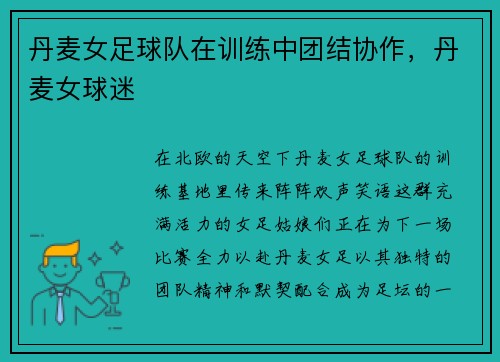 丹麦女足球队在训练中团结协作,丹麦女球迷