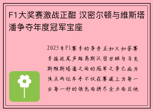 F1大奖赛激战正酣 汉密尔顿与维斯塔潘争夺年度冠军宝座