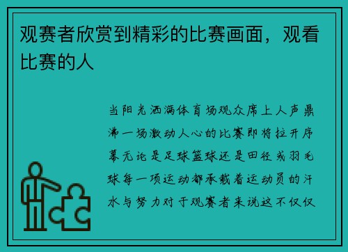 观赛者欣赏到精彩的比赛画面,观看比赛的人